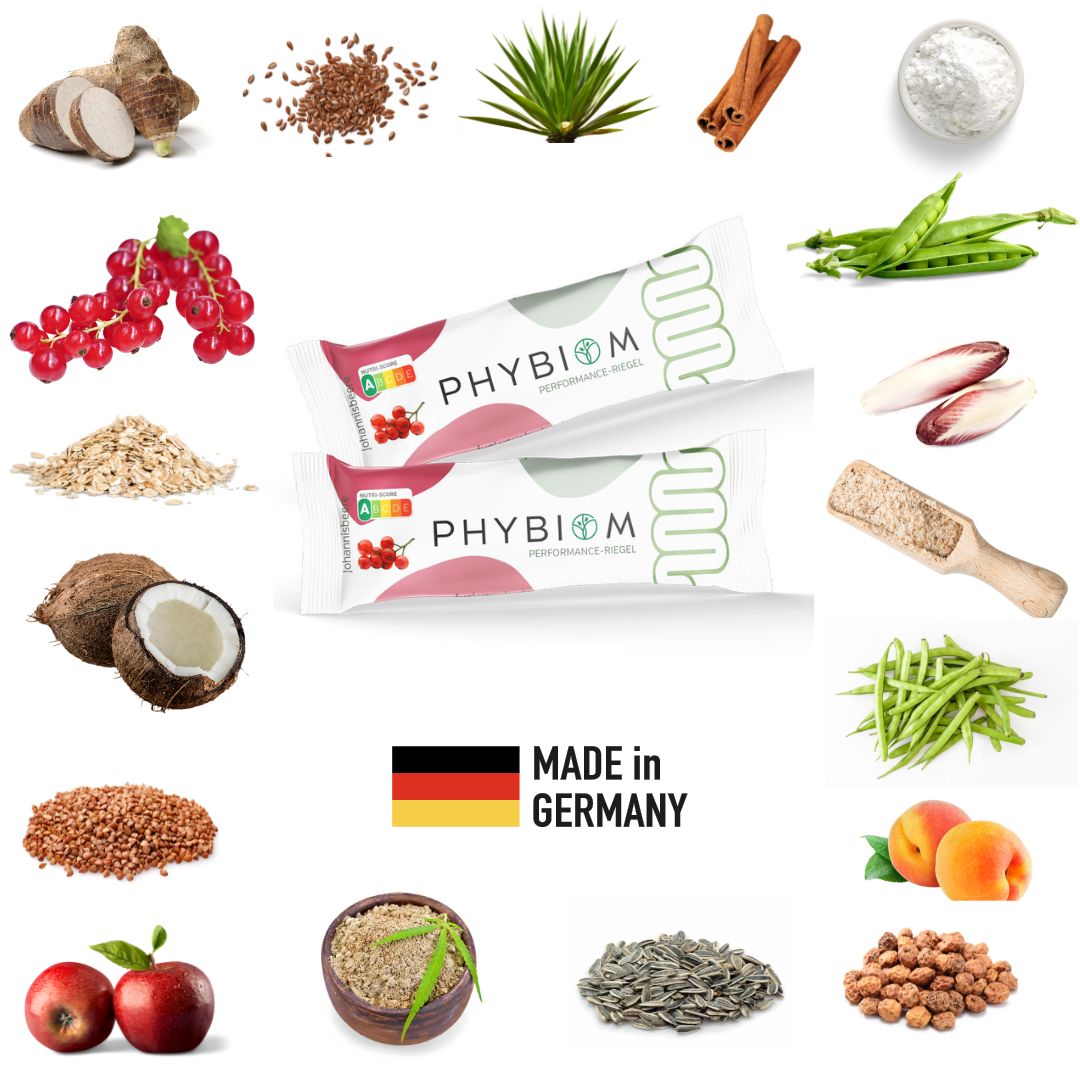 Phybiom - Ballaststoff-Riegel Johannisbeere (9 Stück)