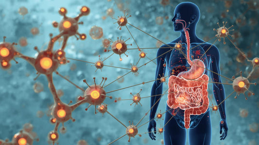 Nobelpreis 2025 & die Bedeutung